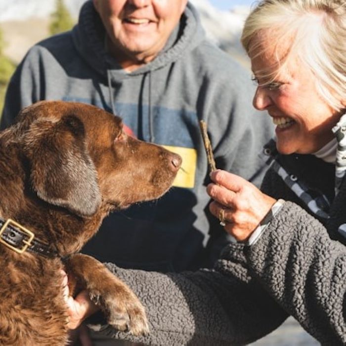 5-voedingsmiddelen-die-slecht-zijn-voor-je-hond